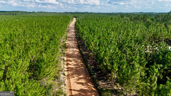 $185,000 | 1 Penny Morris Road, Baxley, GA 31513