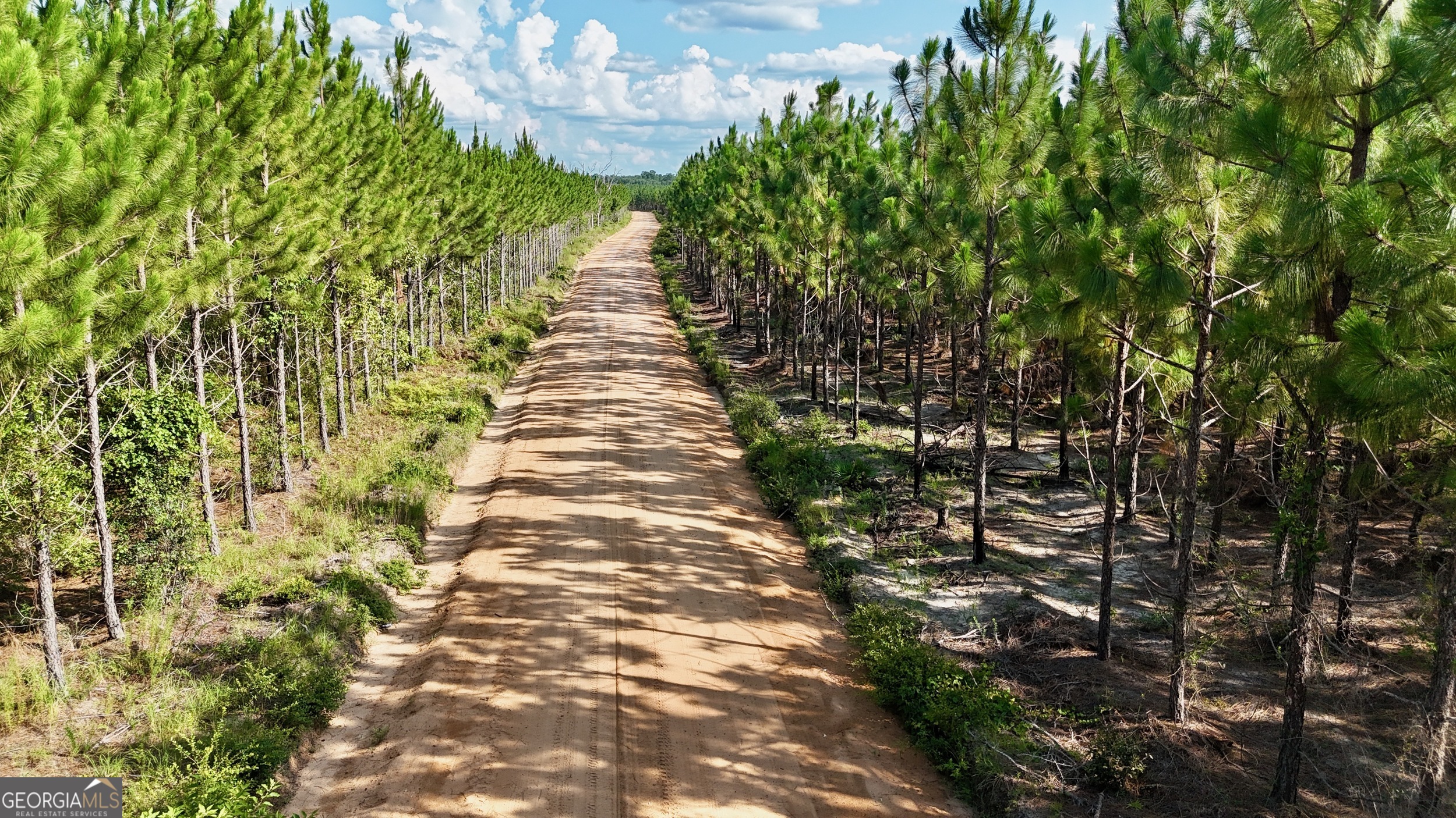 1 Penny Morris Road Baxley, GA 31513 - Photo 6 of 6 a view of a pathway both side of yard