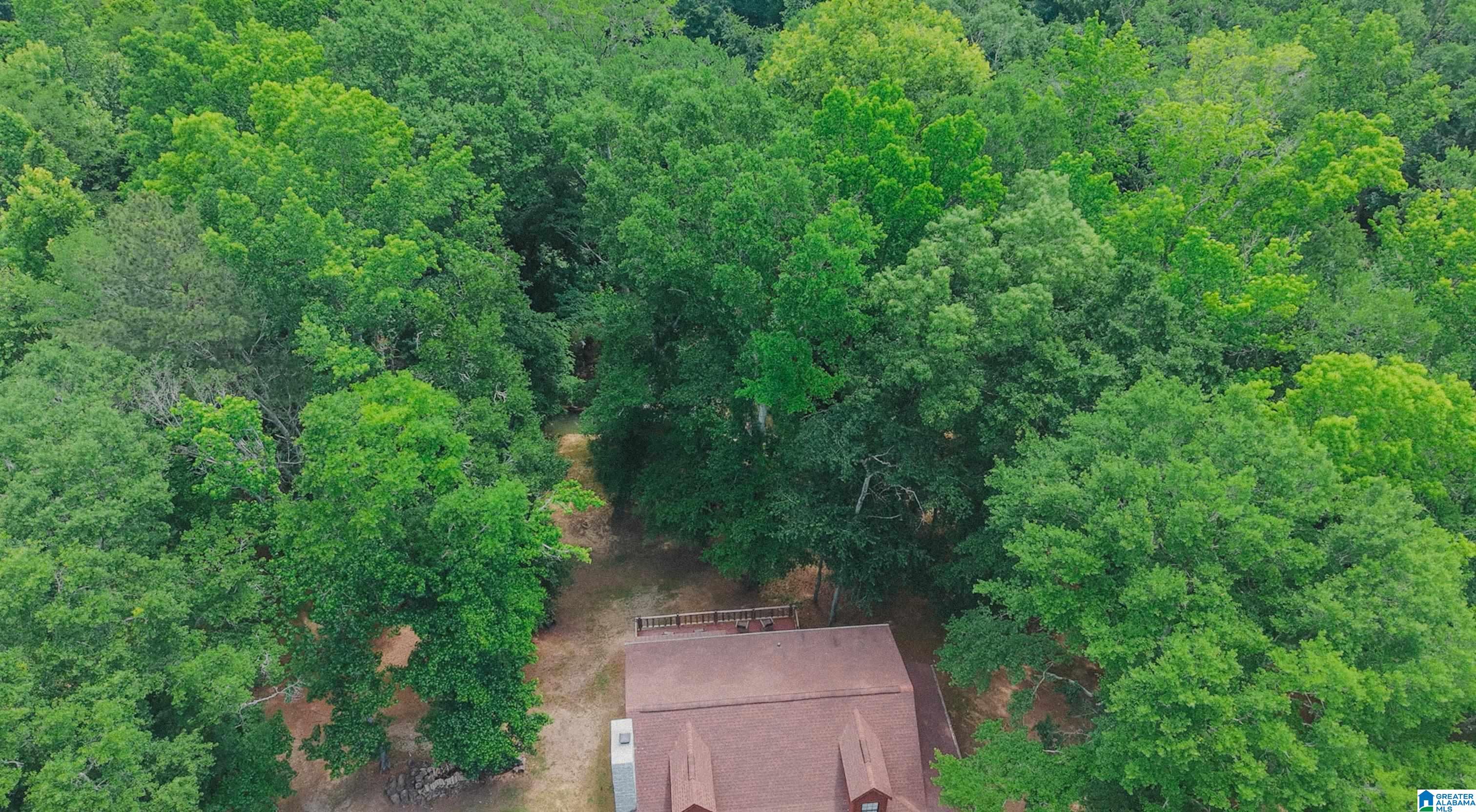 544 Fann Road Steele, AL 35987 - Photo 61 of 84