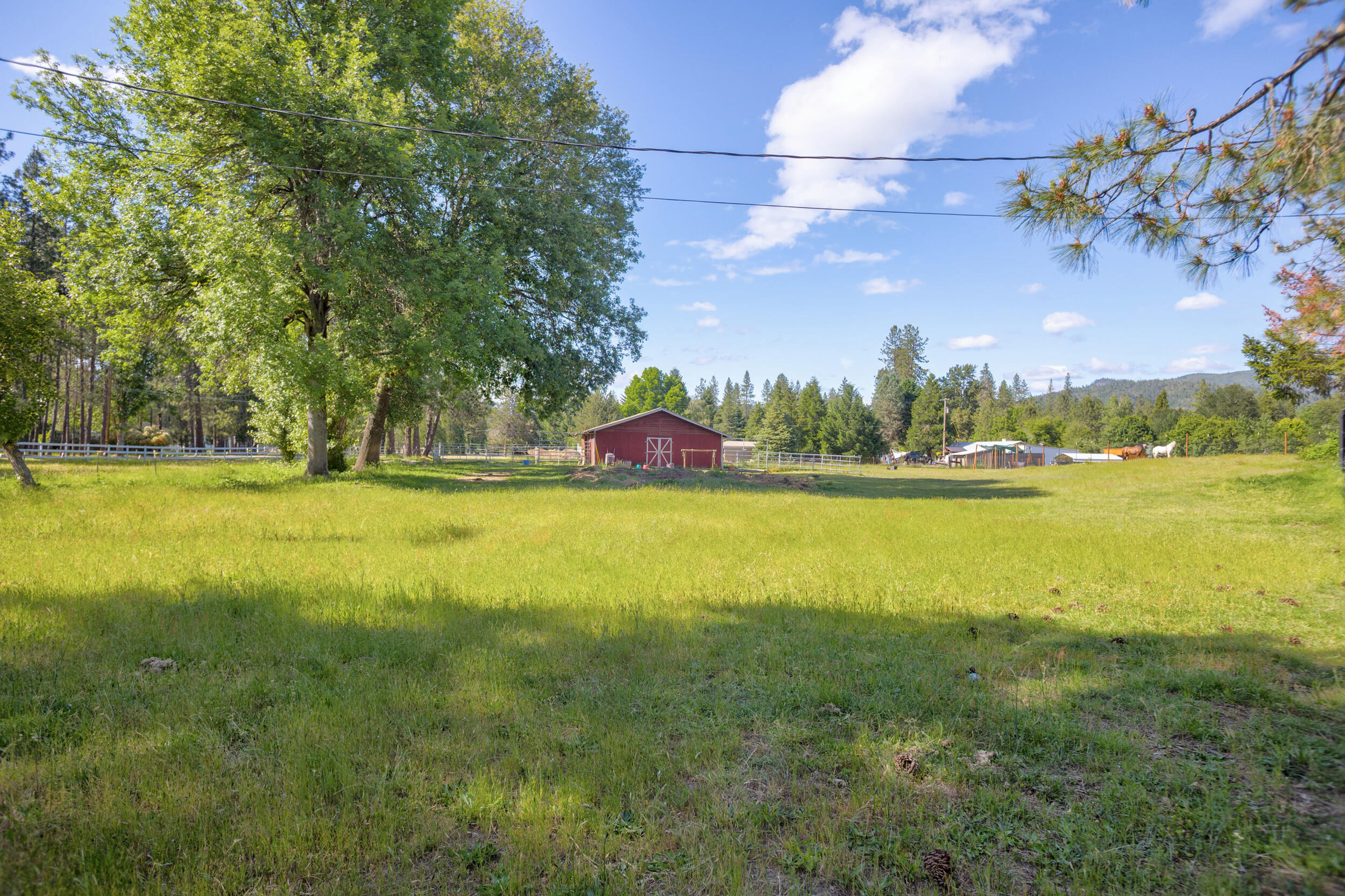 255 Queens Branch Road Rogue River, OR 97537 - Photo 34 of 60 to the Horse area