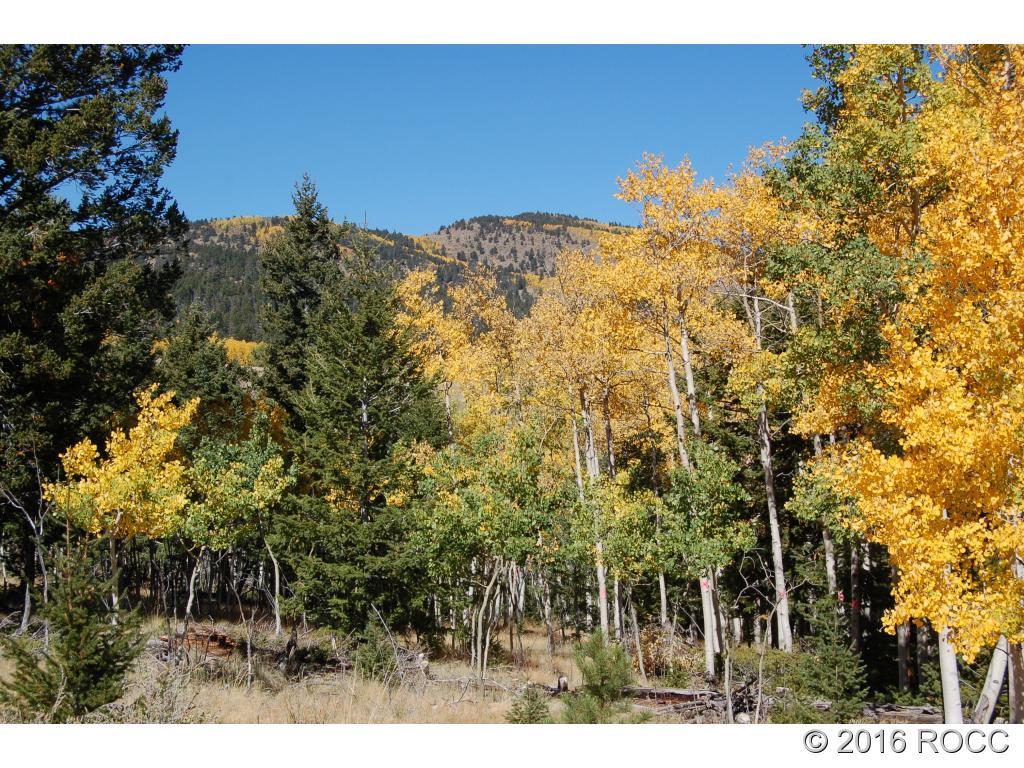 89-92 Ranch Road Hartsel, CO 80449 - Photo 1 of 20 Gallery Image 1
