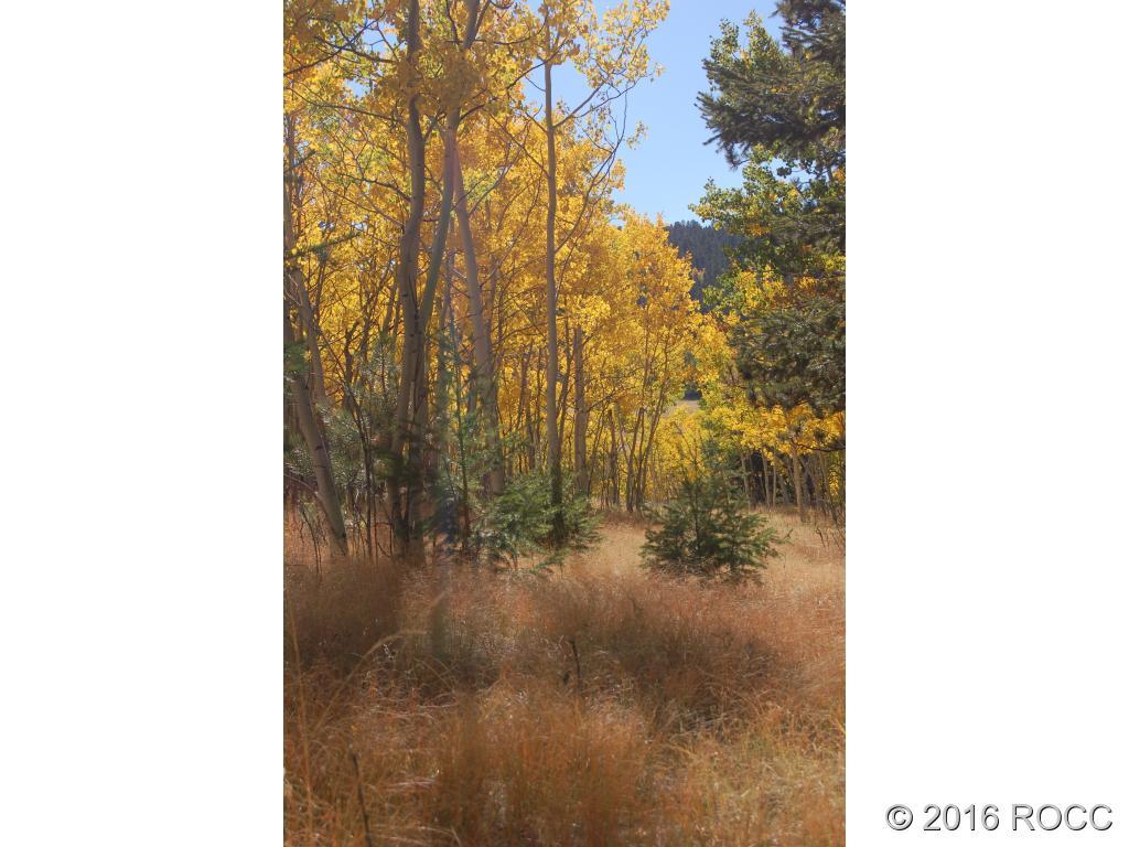 89-92 Ranch Road Hartsel, CO 80449 - Photo 12 of 20 Gallery Image 12