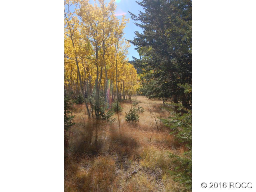 89-92 Ranch Road Hartsel, CO 80449 - Photo 16 of 20 Gallery Image 16