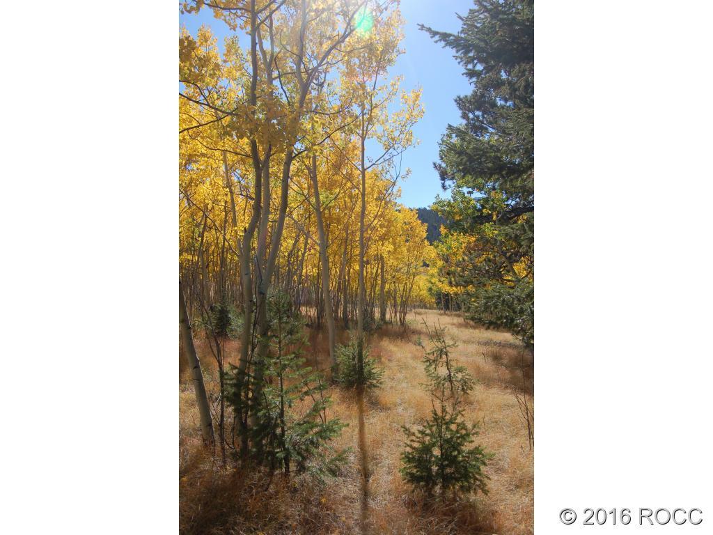 89-92 Ranch Road Hartsel, CO 80449 - Photo 17 of 20 Gallery Image 17