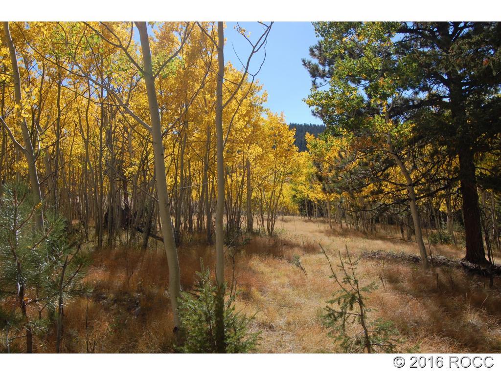89-92 Ranch Road Hartsel, CO 80449 - Photo 18 of 20 Gallery Image 18