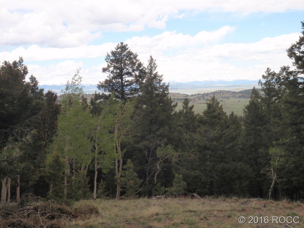 89-92 Ranch Road Hartsel, CO 80449 - Photo 2 of 20 Gallery Image 2