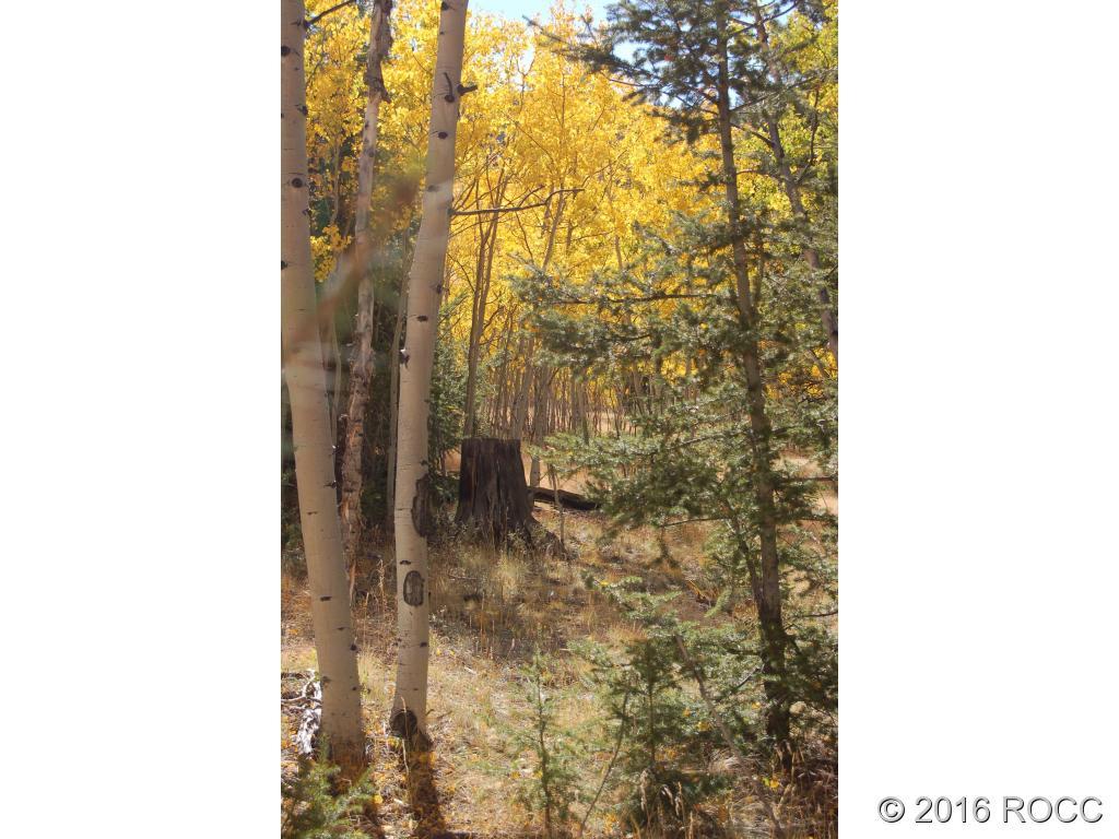 89-92 Ranch Road Hartsel, CO 80449 - Photo 3 of 20 Gallery Image 3