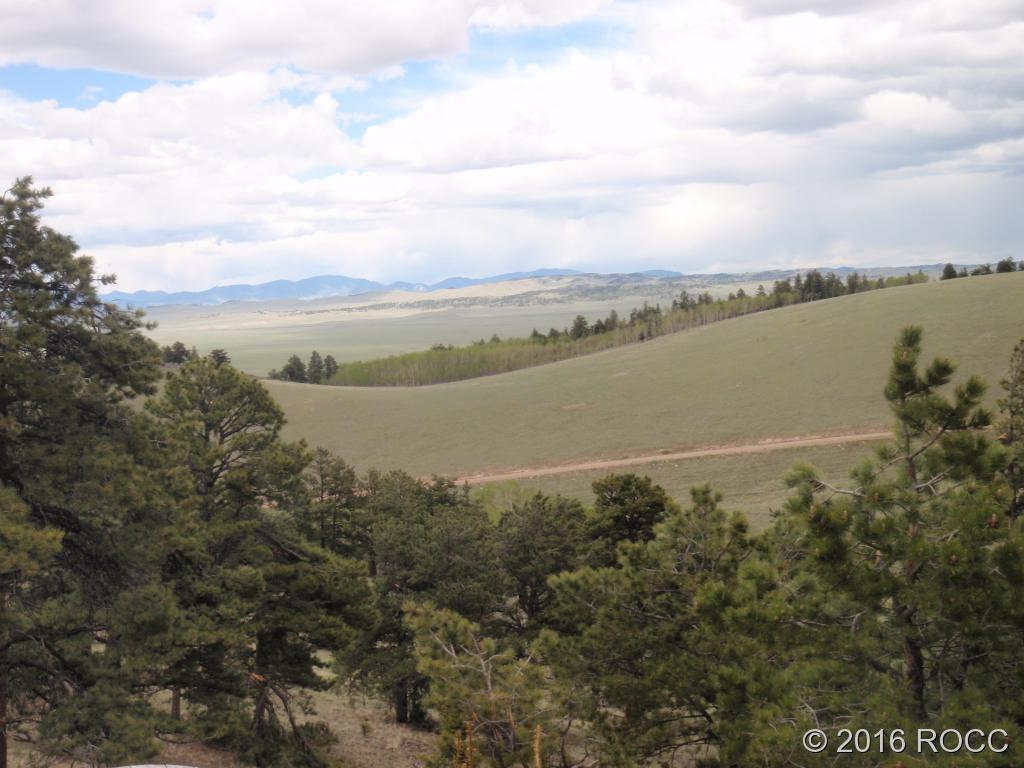 89-92 Ranch Road Hartsel, CO 80449 - Photo 4 of 20 Gallery Image 4