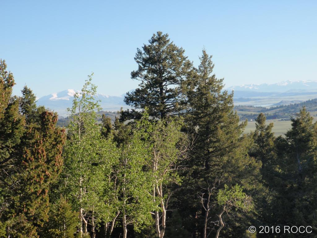 89-92 Ranch Road Hartsel, CO 80449 - Photo 5 of 20 Gallery Image 5