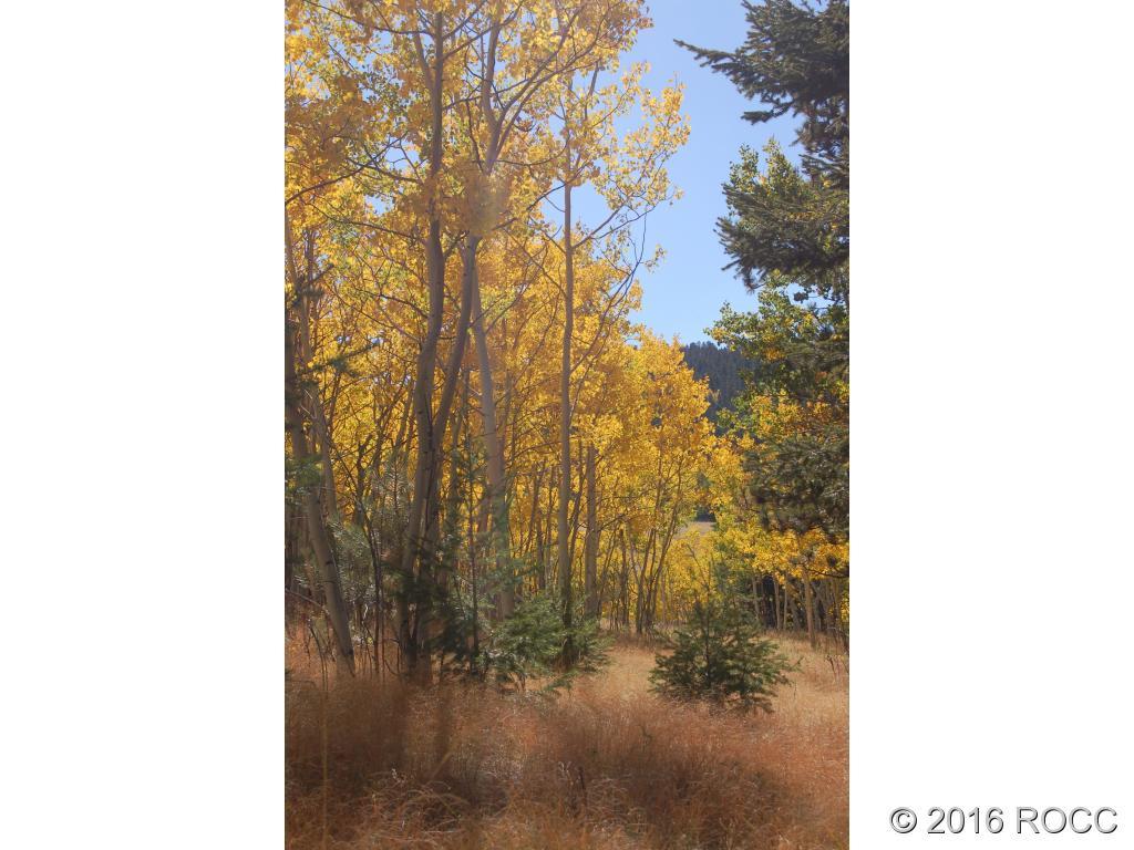 89-92 Ranch Road Hartsel, CO 80449 - Photo 6 of 20 Gallery Image 6