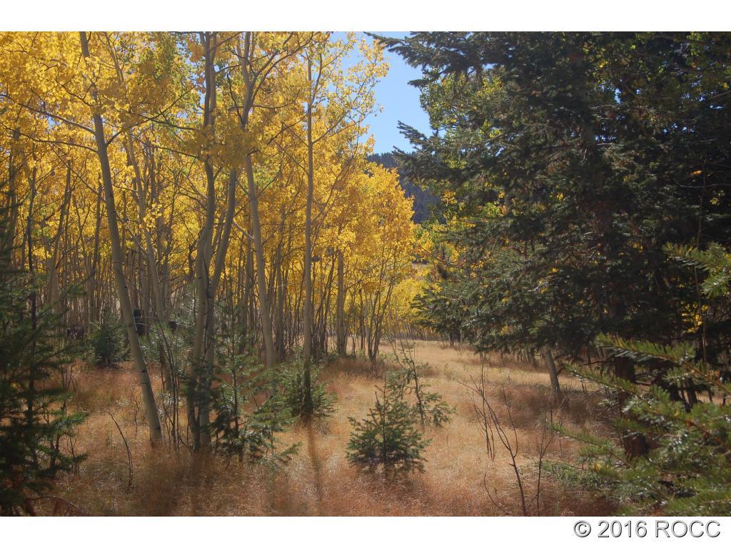 89-92 Ranch Road Hartsel, CO 80449 - Photo 8 of 20 Gallery Image 8