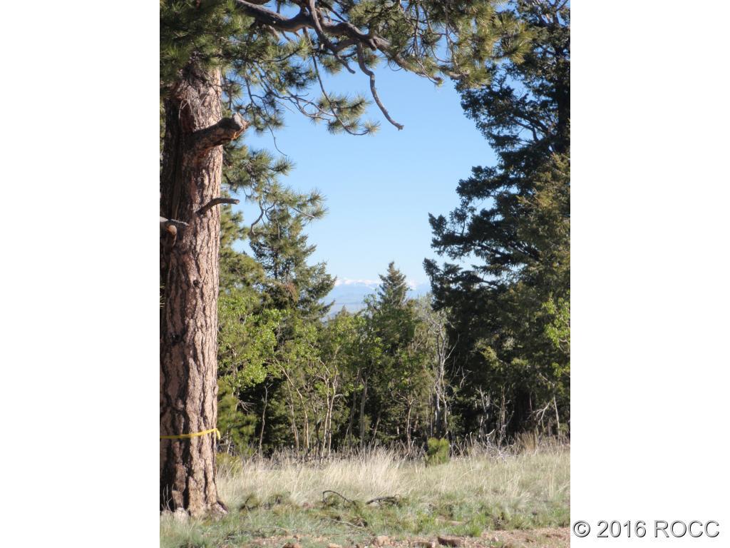89-92 Ranch Road Hartsel, CO 80449 - Photo 9 of 20 Gallery Image 9