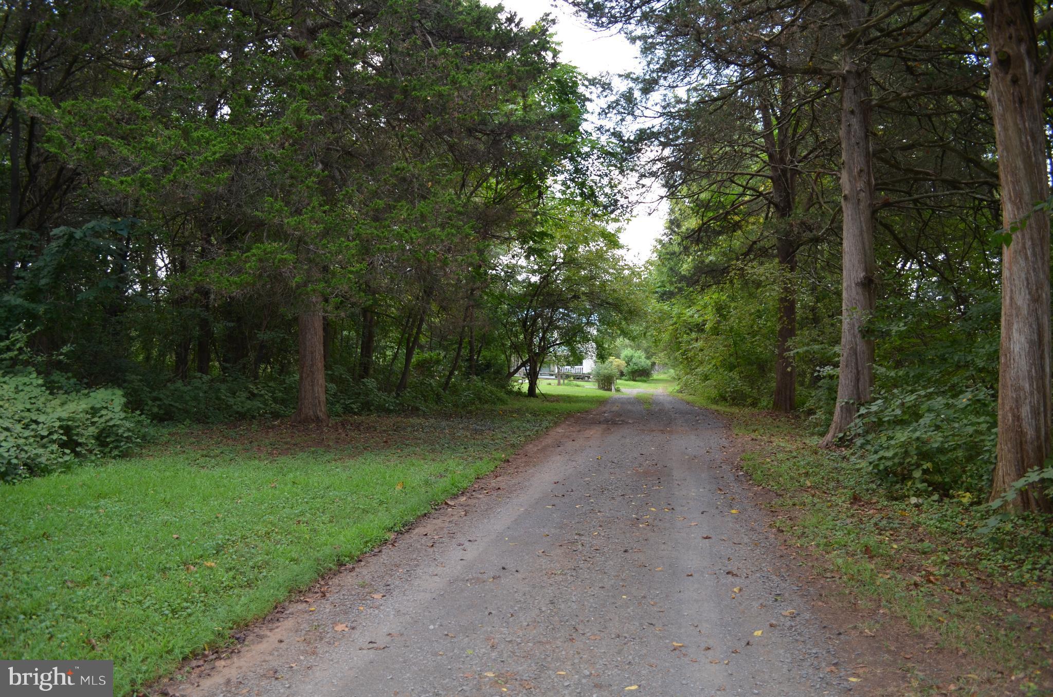 6398 Stoney Road Midland, VA 22728 - Photo 28 of 30 Driveway
