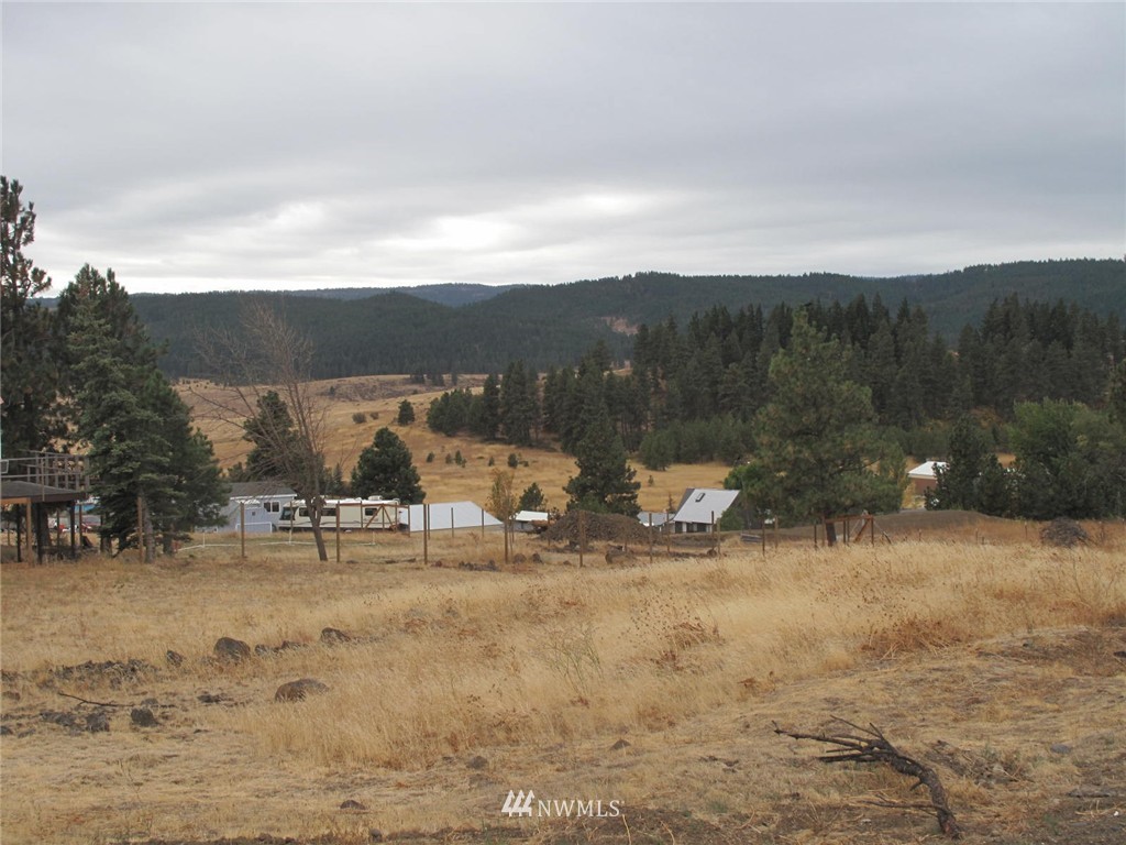 141 Highline Loop Cle Elum, WA 98922 - Photo 4 of 15 Gallery Image 4