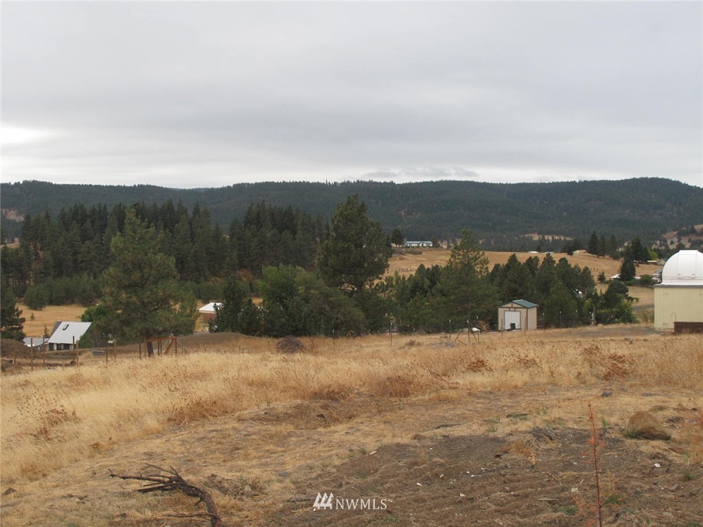 141 Highline Loop Cle Elum, WA 98922 - Photo 8 of 15 Gallery Image 8