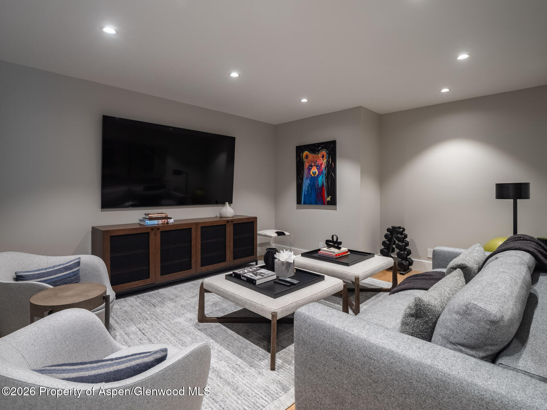 314 North Riverside Avenue, Unit 2 Aspen, CO 81611 - Photo 21 of 32 Media Room