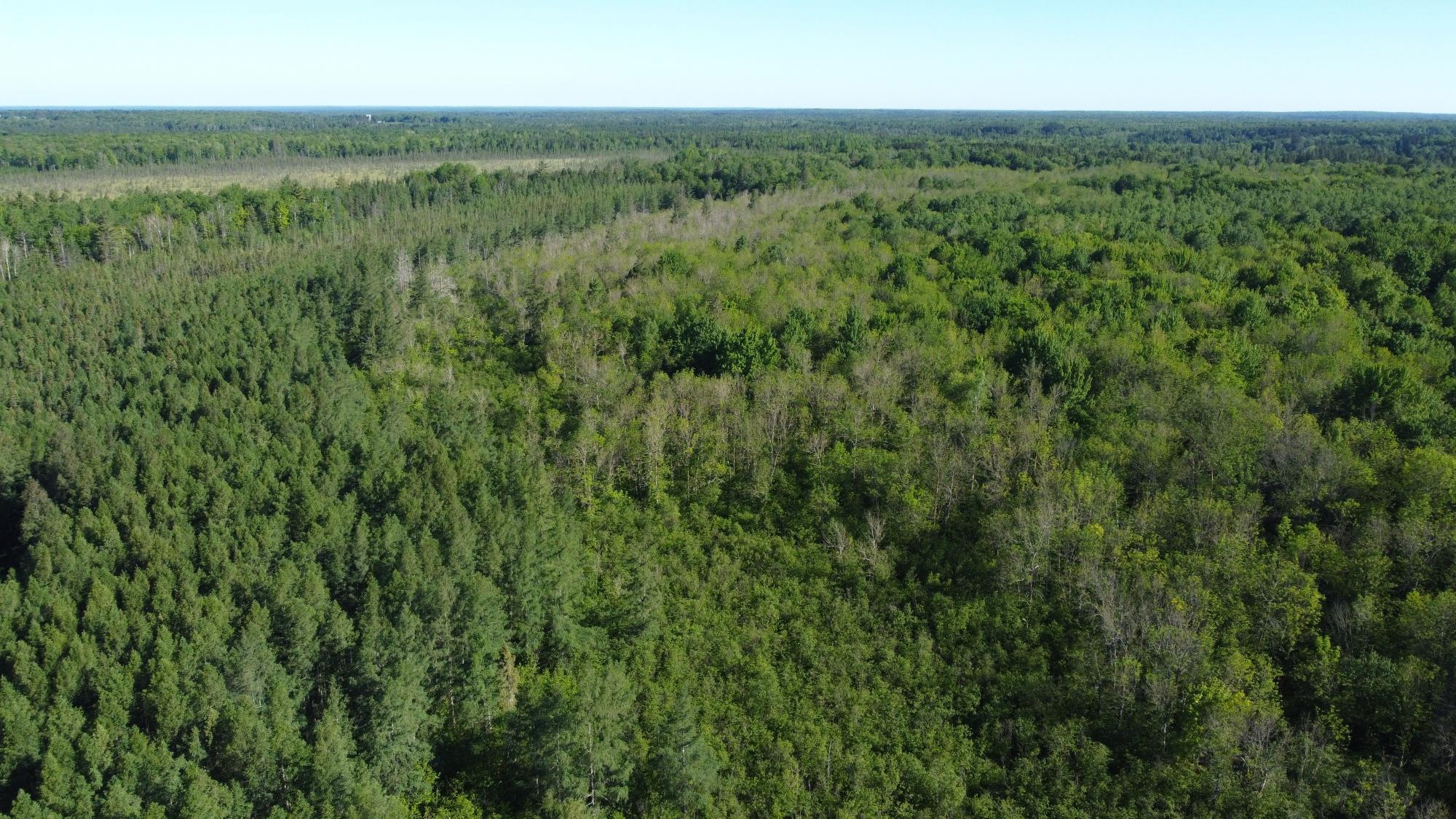 N7295 East Dover Road Phillips, WI 54555 - Photo 19 of 35 Gallery Image 19