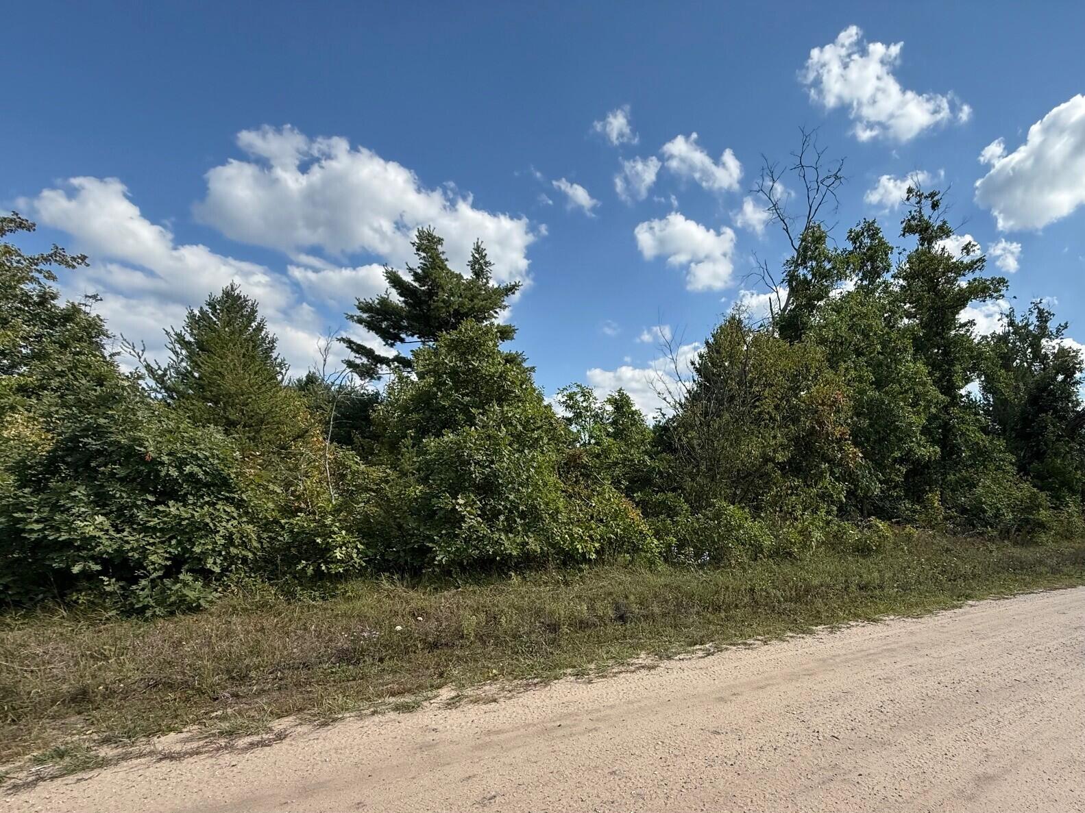 Cook Street Road Idlewild, MI 49642 - Photo 1 of 3 Green Property