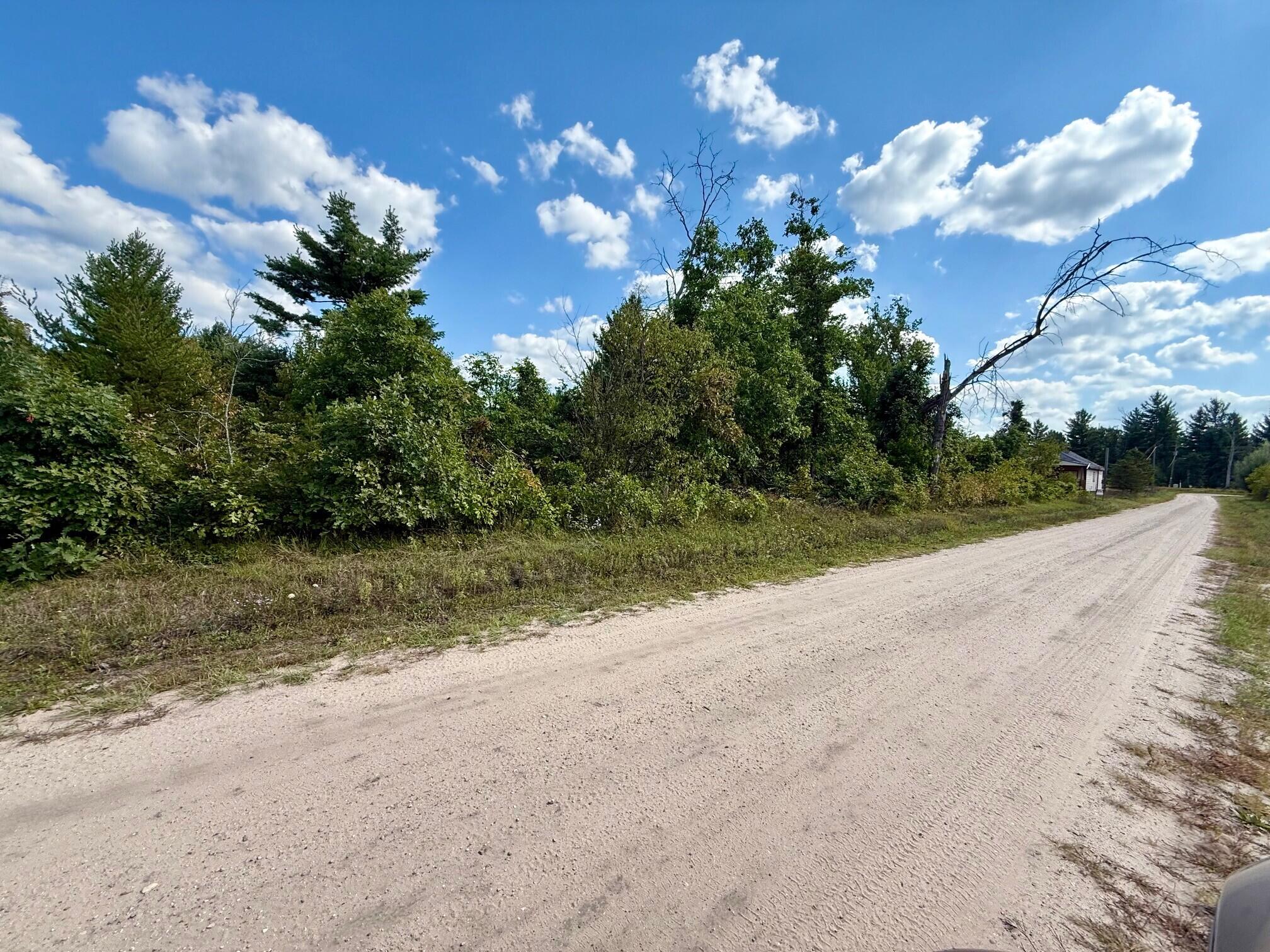 Cook Street Road Idlewild, MI 49642 - Photo 2 of 3 Green Property 3