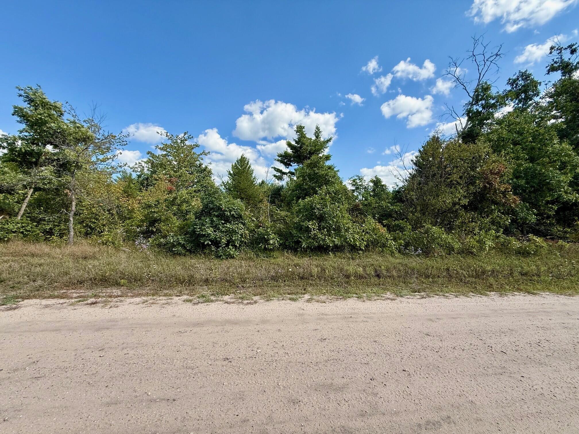 Cook Street Road Idlewild, MI 49642 - Photo 3 of 3 Green Property 2