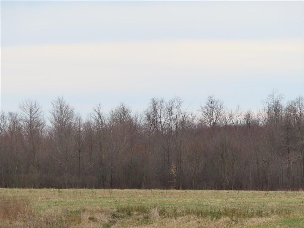 360 Fredonia Road Fredonia, PA 16124 - Photo 10 of 10