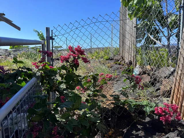 $69,900 | 12-5419 Ala Lokelani, Pahoa, HI 96778