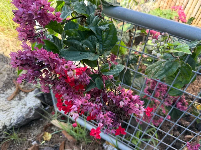 $69,900 | 12-5419 Ala Lokelani, Pahoa, HI 96778