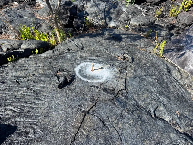 $69,900 | 12-5419 Ala Lokelani, Pahoa, HI 96778