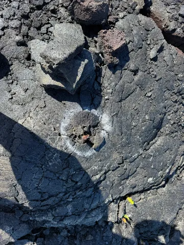 $69,900 | 12-5419 Ala Lokelani, Pahoa, HI 96778