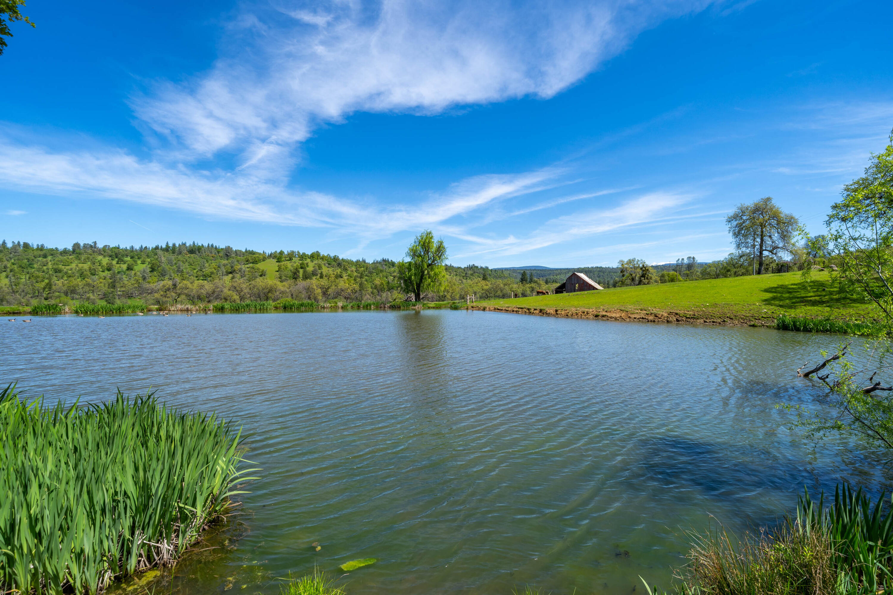 9568 Blue Mountain Ranch Road Whitmore, CA 96096 - Photo 13 of 93 a view of a lake with houses in the back