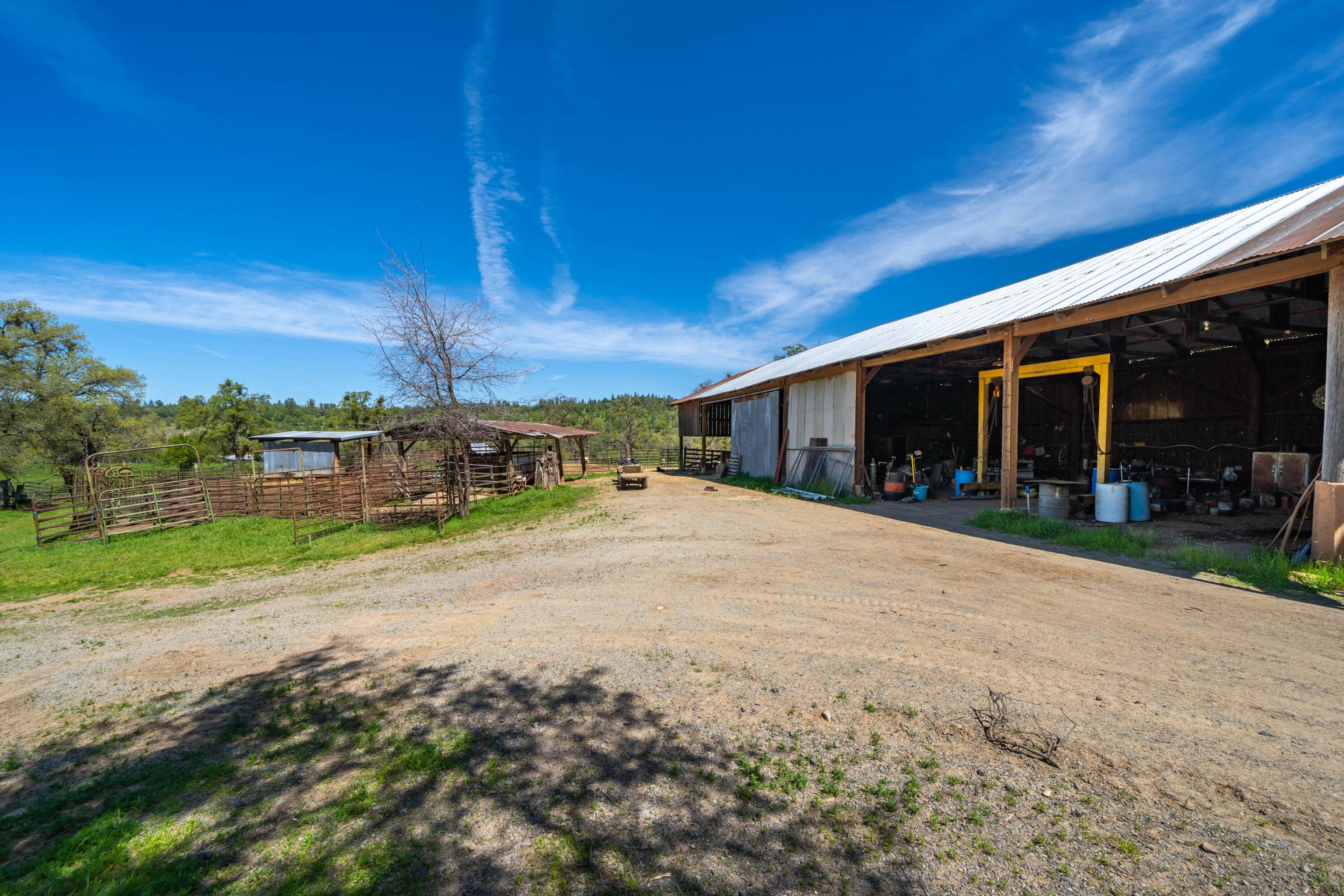9568 Blue Mountain Ranch Road Whitmore, CA 96096 - Photo 28 of 93 a view of a house with a yard and potted plants