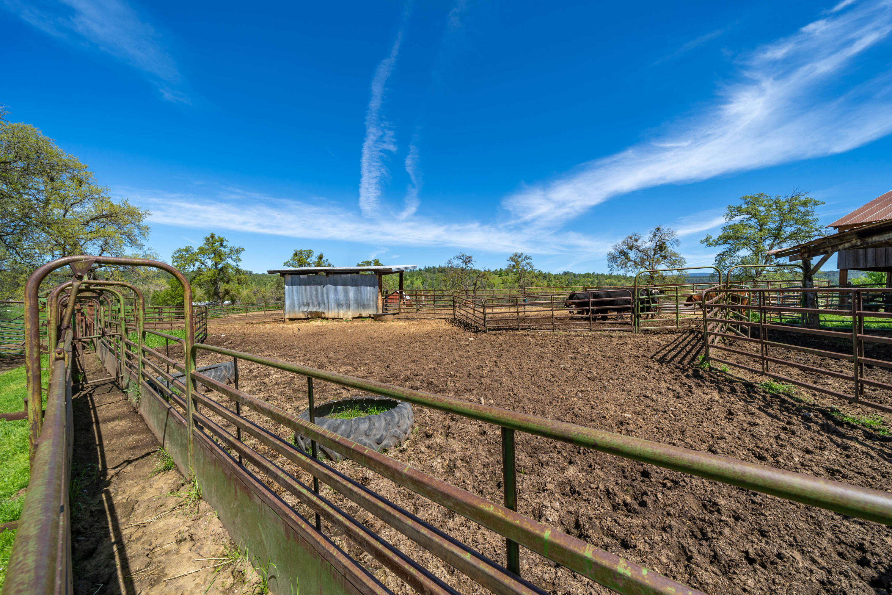 9568 Blue Mountain Ranch Road Whitmore, CA 96096 - Photo 29 of 93 Blue Mountain Ranch-76