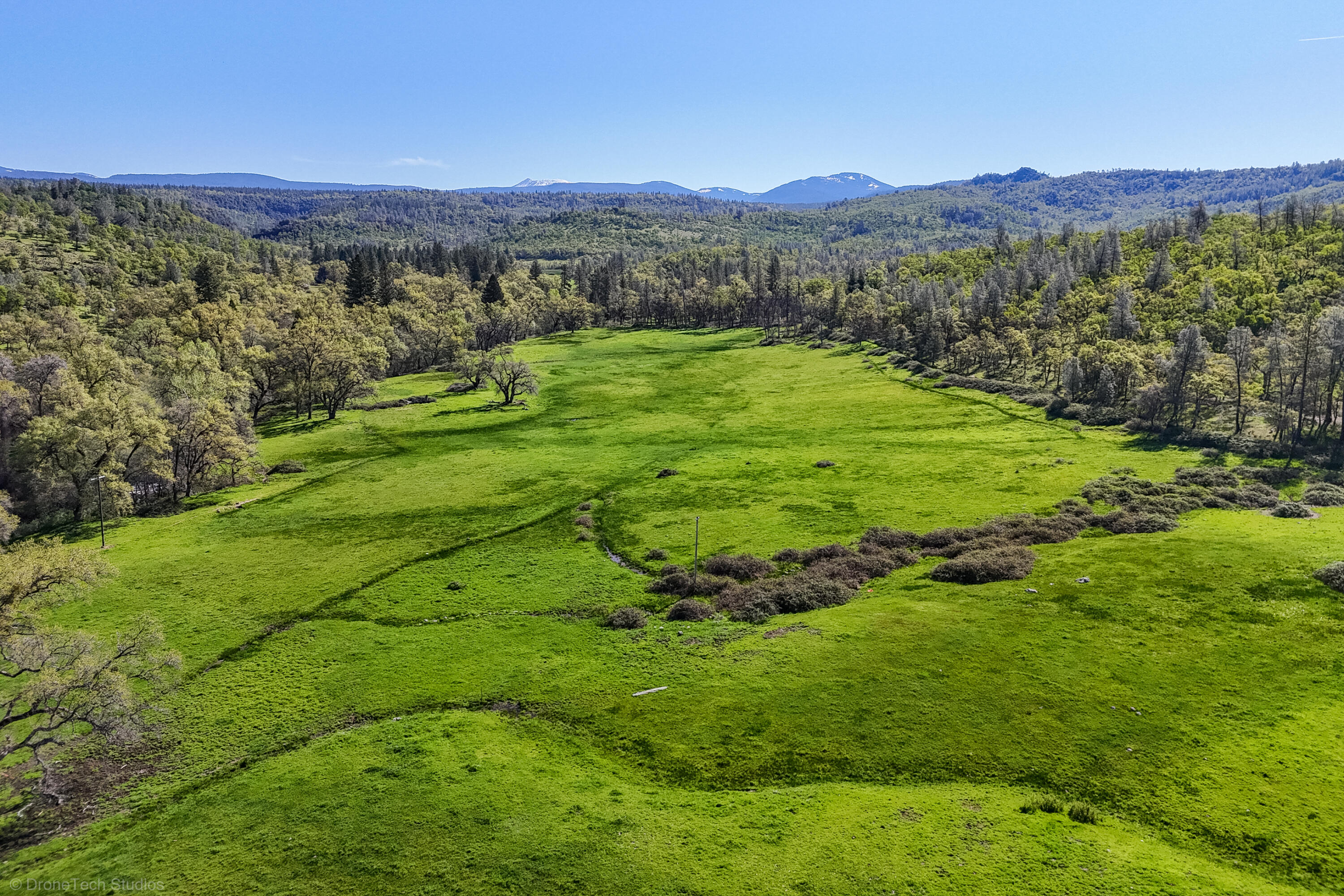 9568 Blue Mountain Ranch Road Whitmore, CA 96096 - Photo 34 of 93 Drone-71