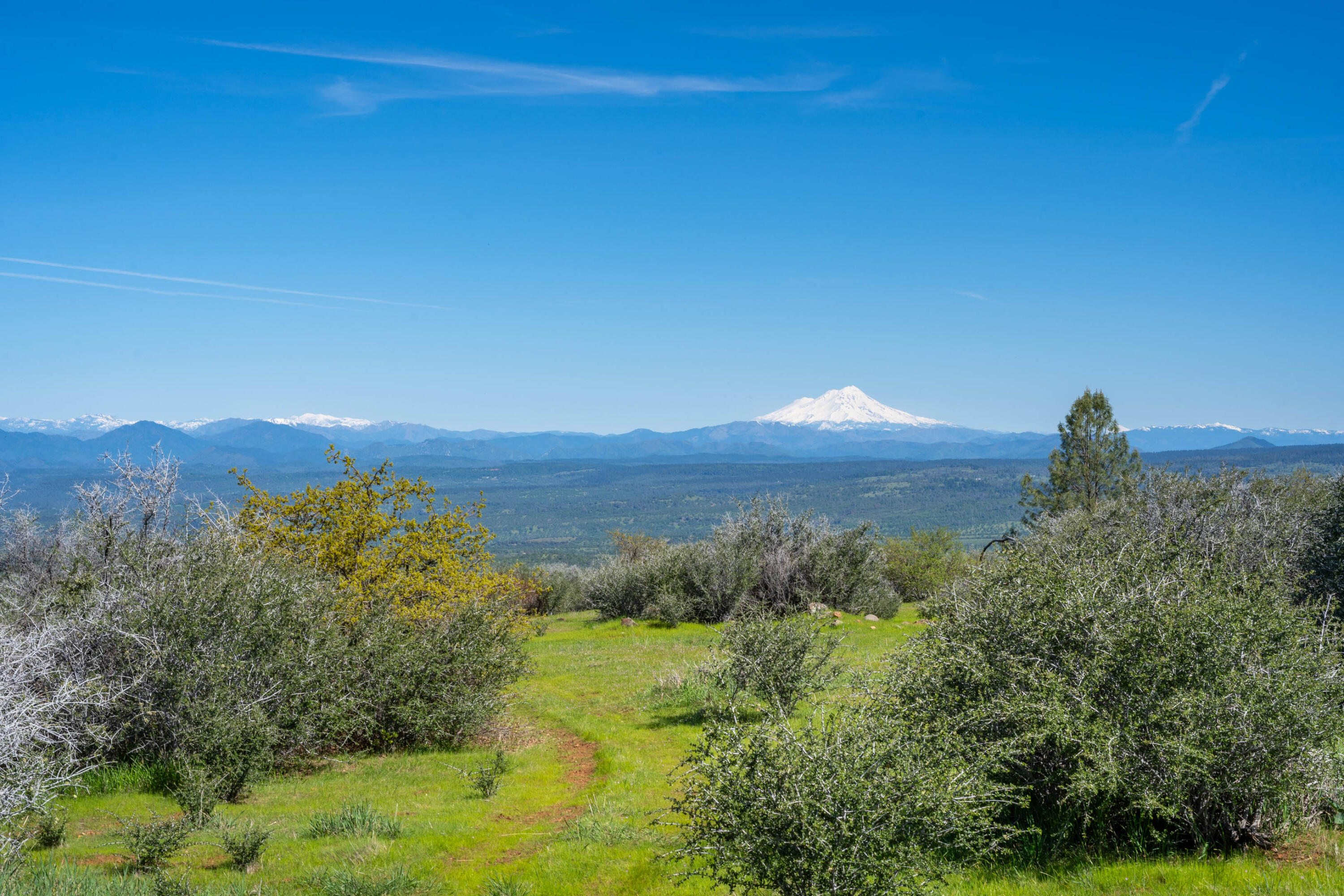 9568 Blue Mountain Ranch Road Whitmore, CA 96096 - Photo 38 of 93 a view of a lake with a mountain in the background