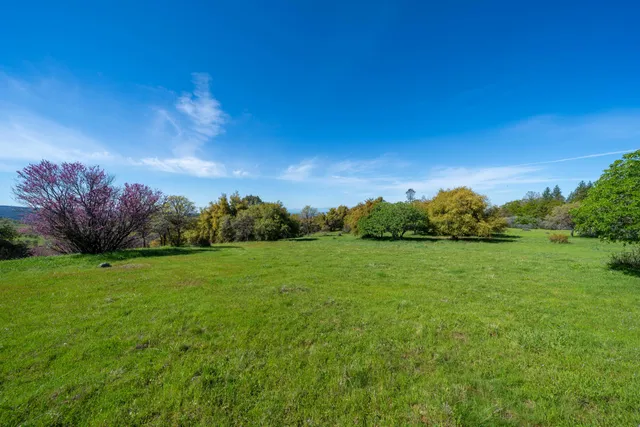 a view of a lush green hillside and a houses
