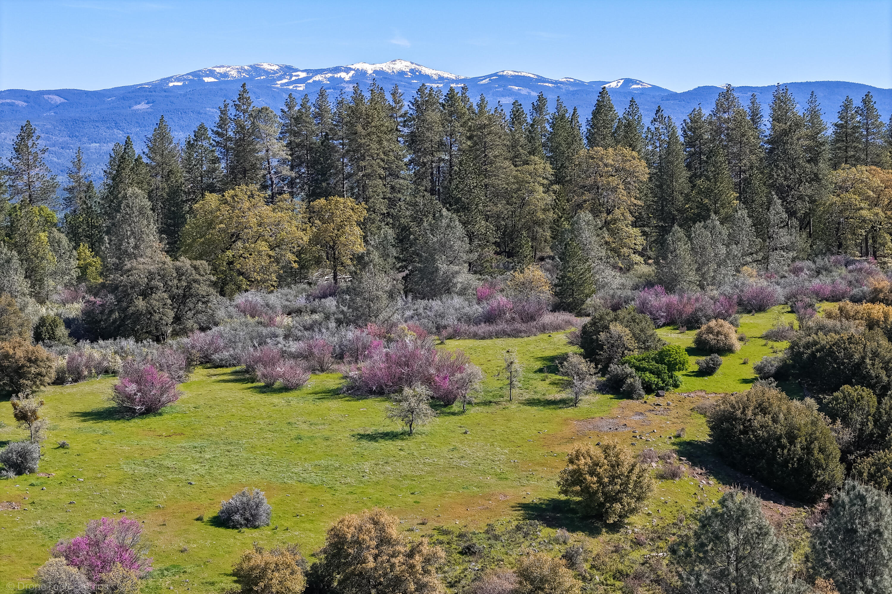 9568 Blue Mountain Ranch Road Whitmore, CA 96096 - Photo 4 of 93 a view of a lake with a mountain in the background