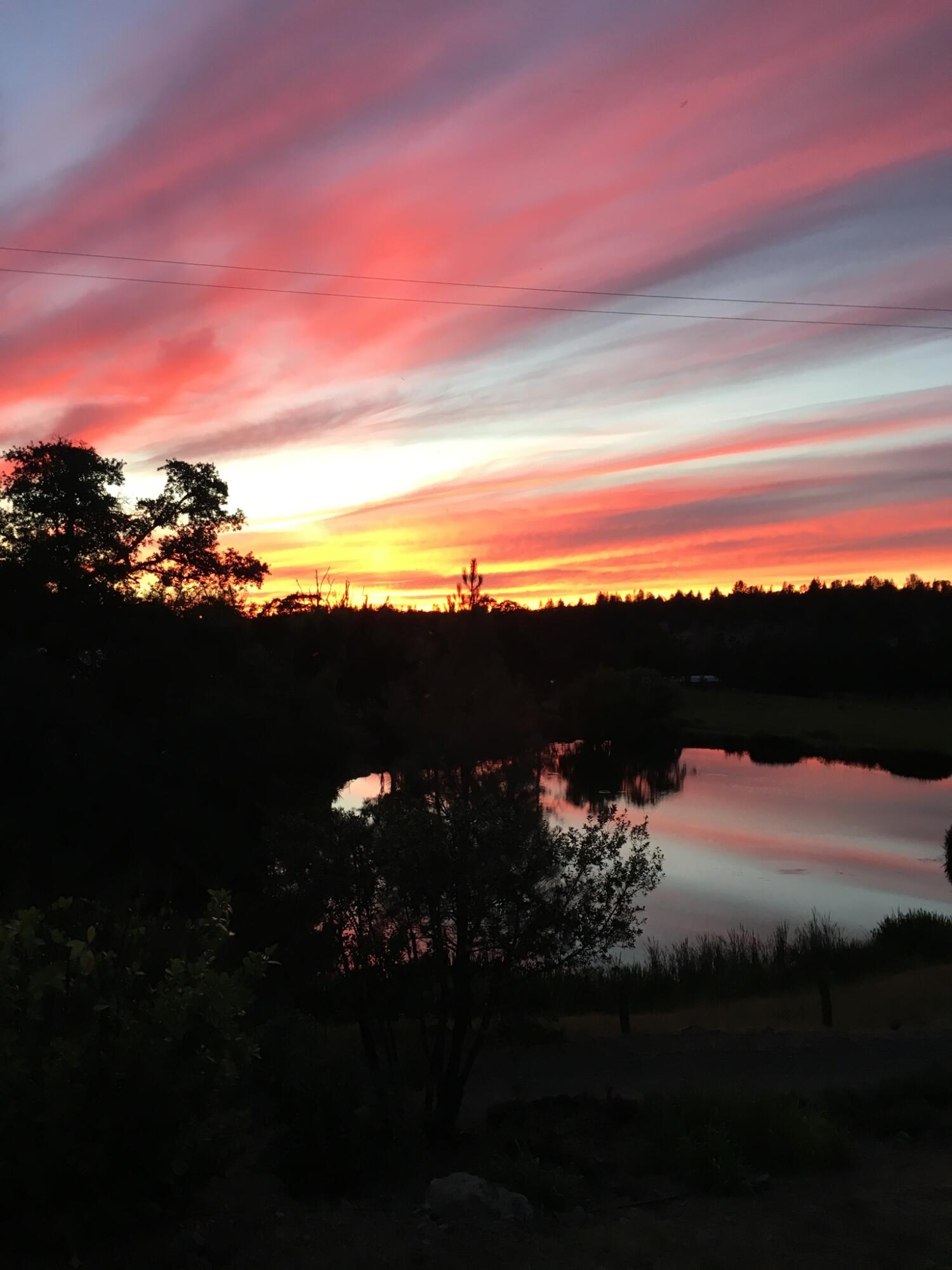 9568 Blue Mountain Ranch Road Whitmore, CA 96096 - Photo 45 of 93 0176e2074787cd8659395f96c287e8c84ce1dea6