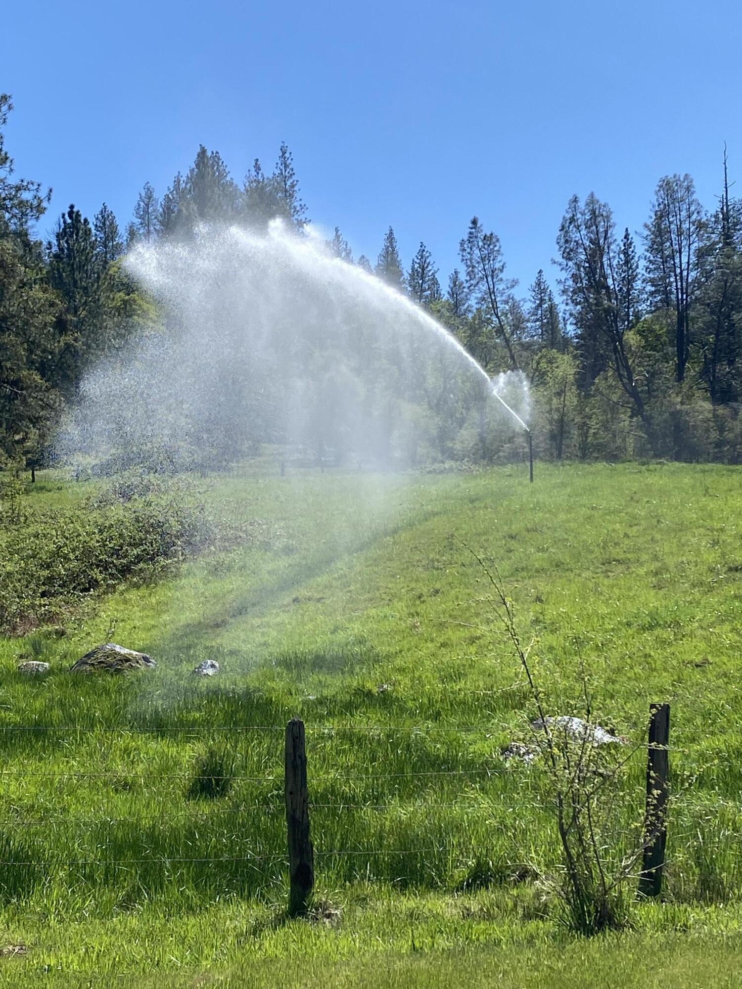 9568 Blue Mountain Ranch Road Whitmore, CA 96096 - Photo 46 of 93 114 IMG_5988