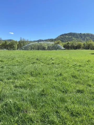 a view of field with trees in the background