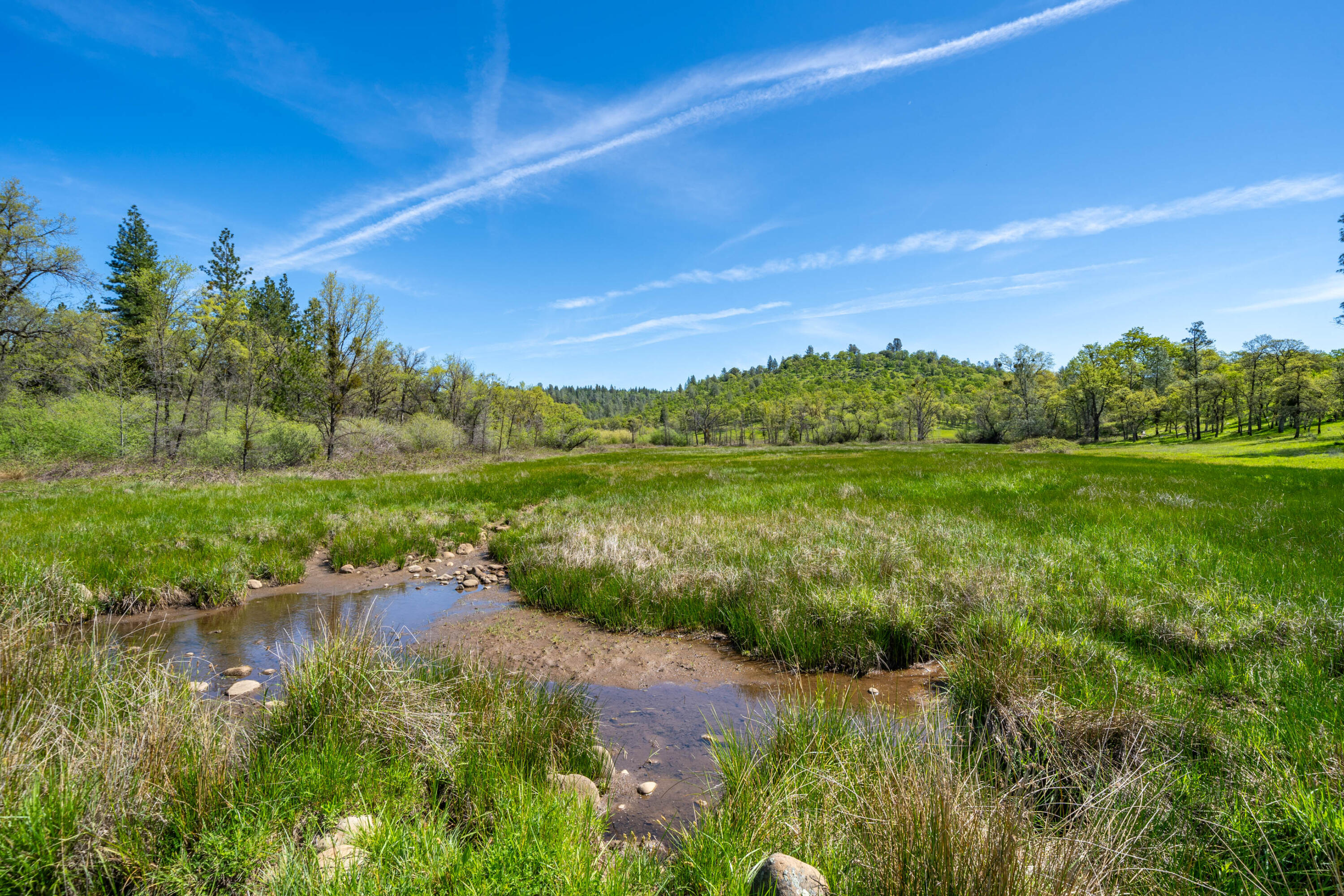9568 Blue Mountain Ranch Road Whitmore, CA 96096 - Photo 50 of 93 a view of a lake with a big yard