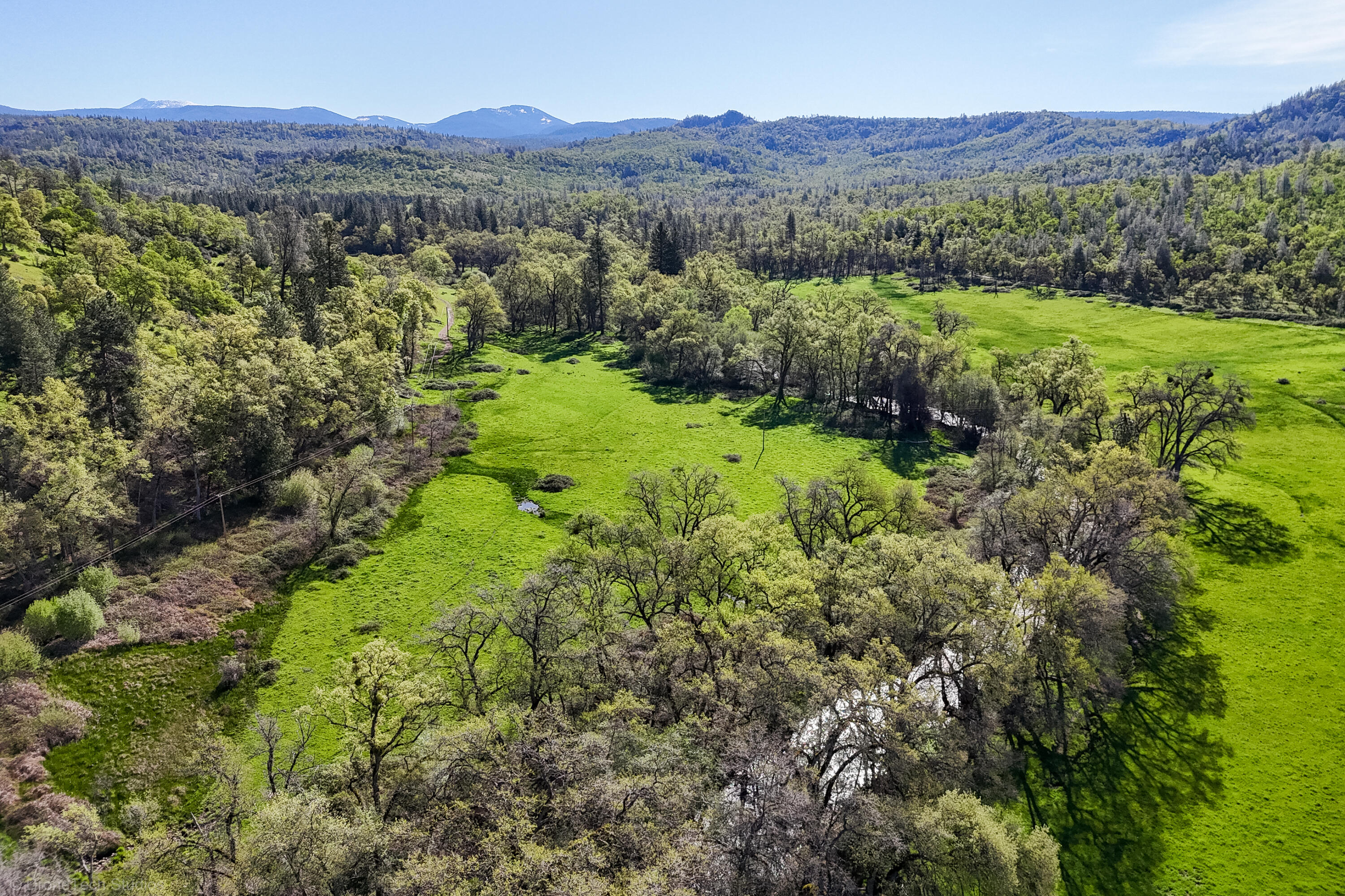 9568 Blue Mountain Ranch Road Whitmore, CA 96096 - Photo 57 of 93 a view of a lush green hillside and a houses