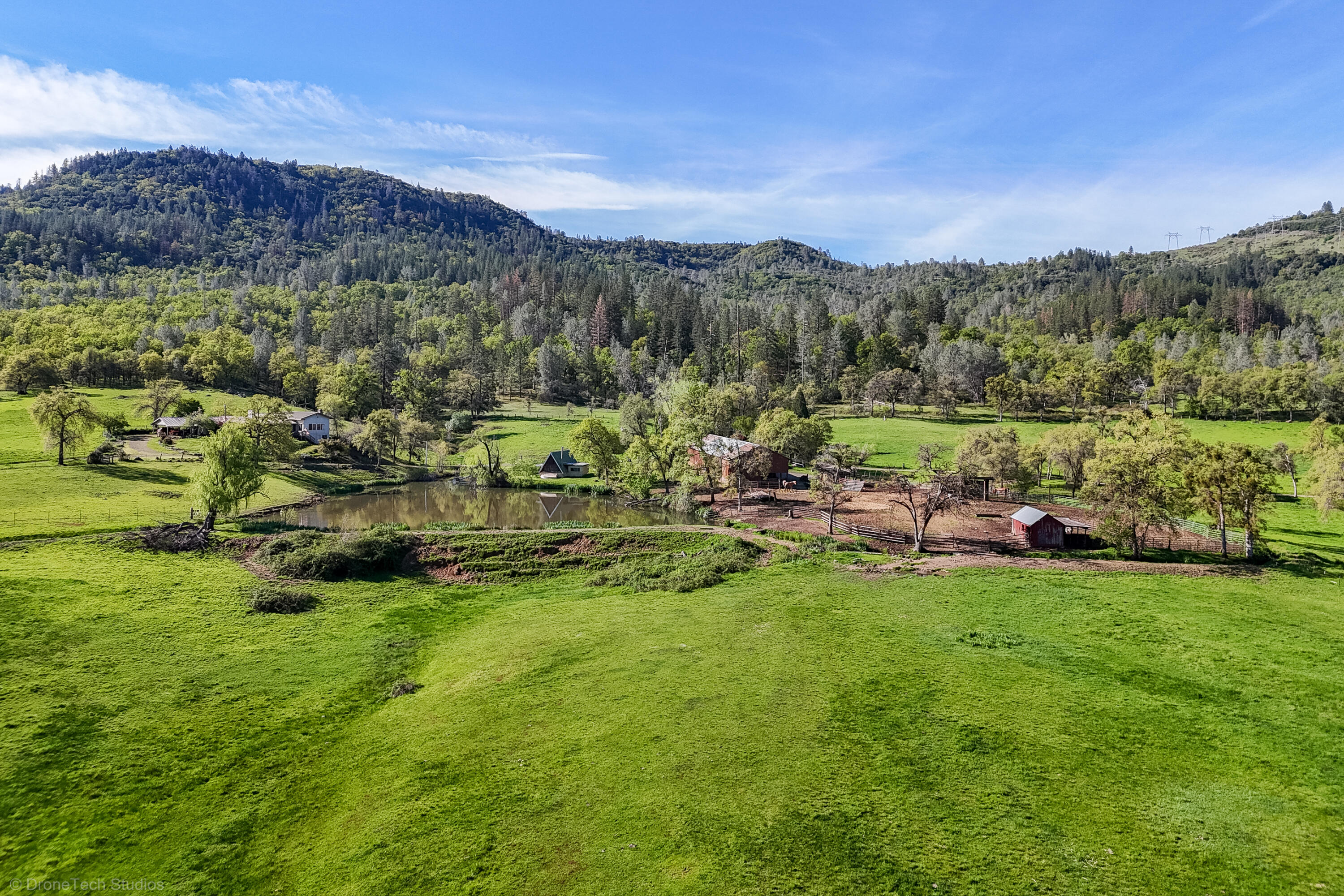 9568 Blue Mountain Ranch Road Whitmore, CA 96096 - Photo 58 of 93 a view of a garden with mountains in the background