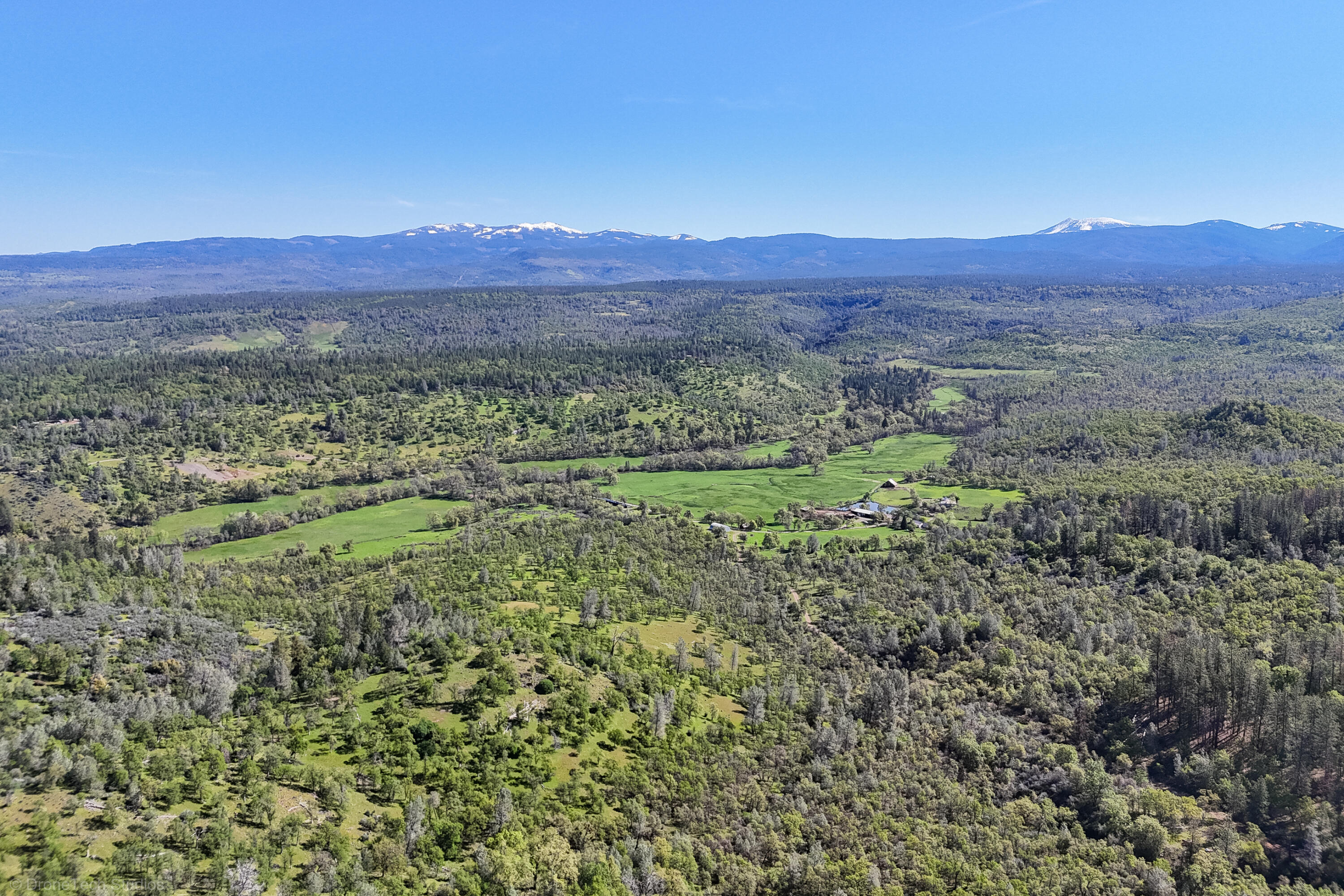 9568 Blue Mountain Ranch Road Whitmore, CA 96096 - Photo 71 of 93 a view of a lush green hillside and a houses