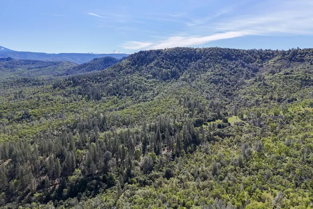 $4,750,000 | 9568 Blue Mountain Ranch Road, Whitmore, CA 96096