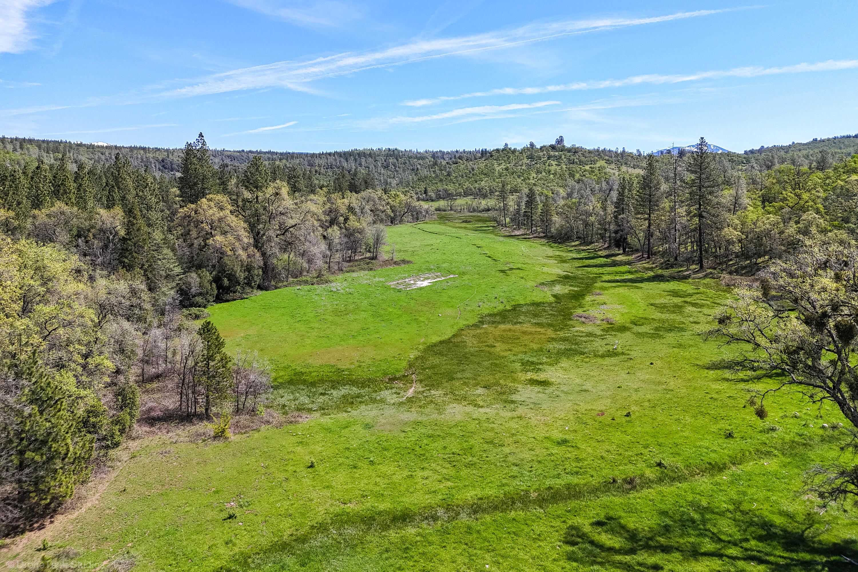 9568 Blue Mountain Ranch Road Whitmore, CA 96096 - Photo 81 of 93 Drone-159