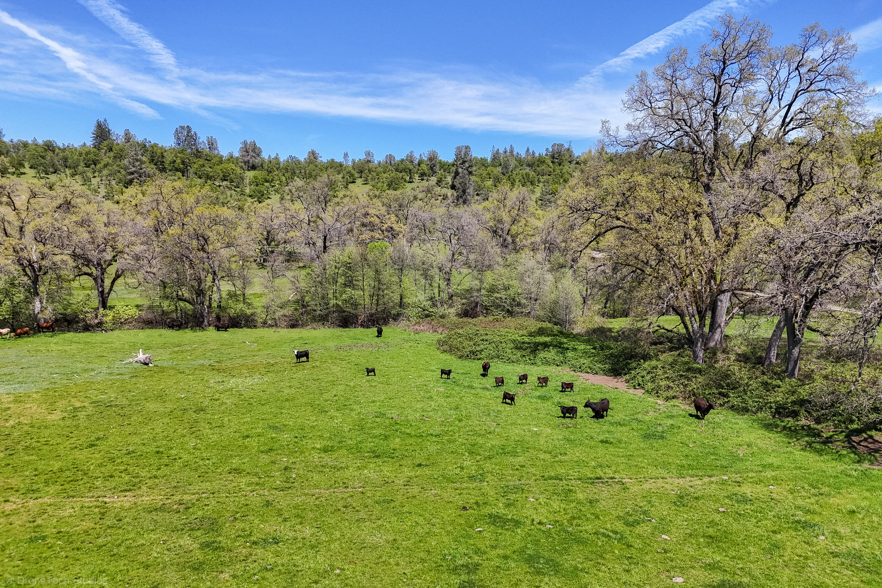 9568 Blue Mountain Ranch Road Whitmore, CA 96096 - Photo 86 of 93 Drone-204