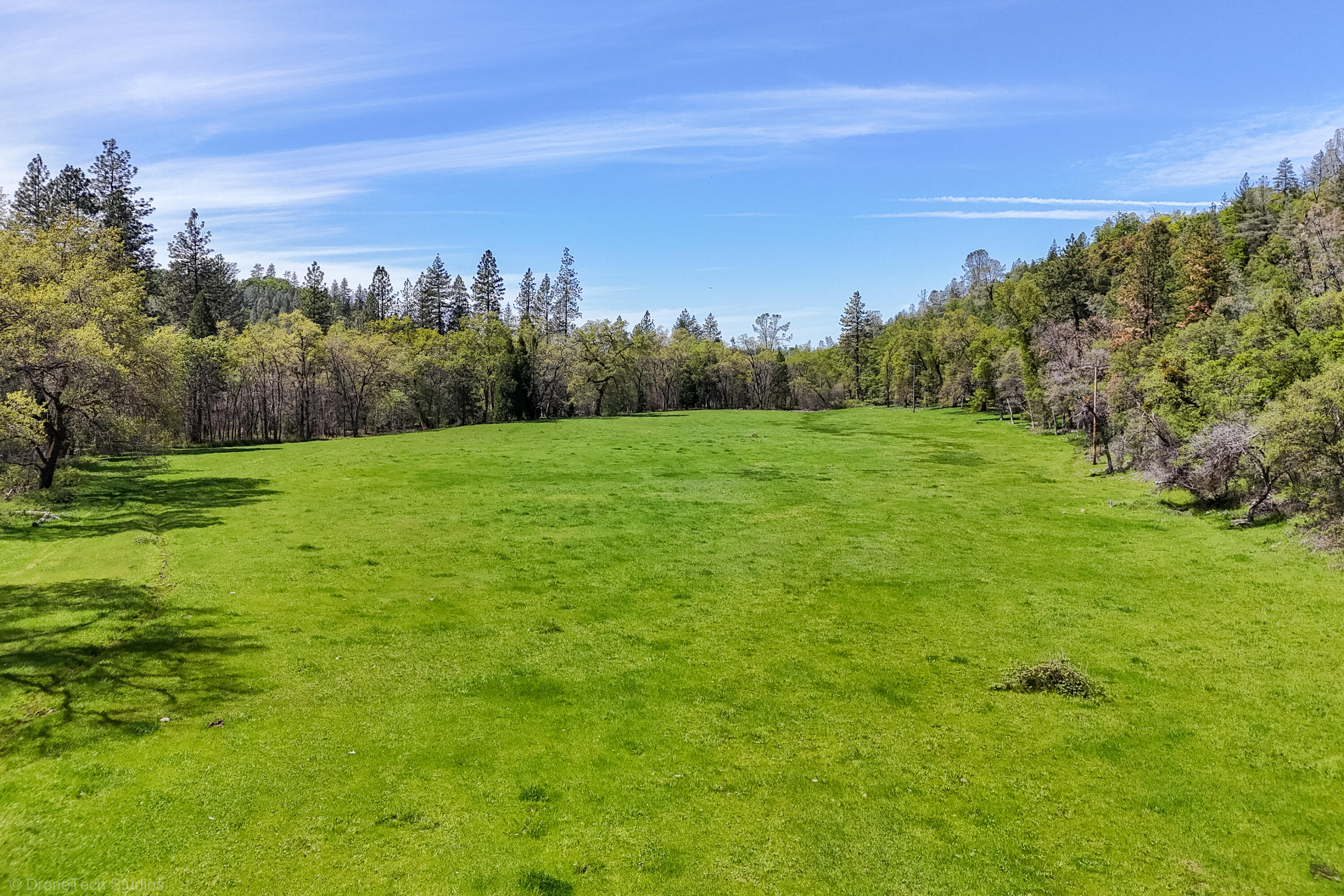 9568 Blue Mountain Ranch Road Whitmore, CA 96096 - Photo 87 of 93 Drone-219