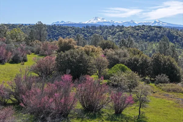 $4,750,000 | 9568 Blue Mountain Ranch Road, Whitmore, CA 96096