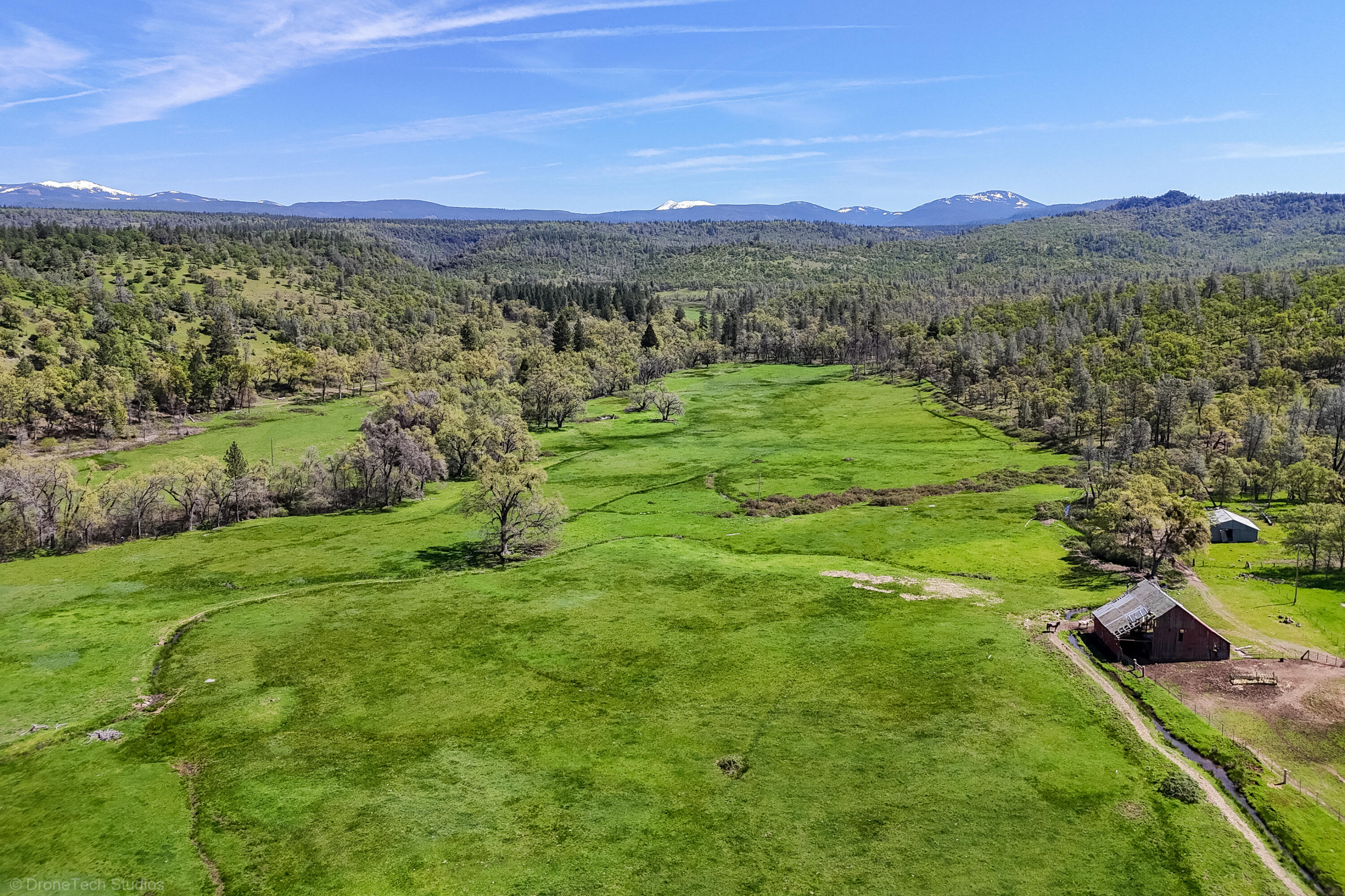 9568 Blue Mountain Ranch Road Whitmore, CA 96096 - Photo 9 of 93 a view of a lush green hillside and houses