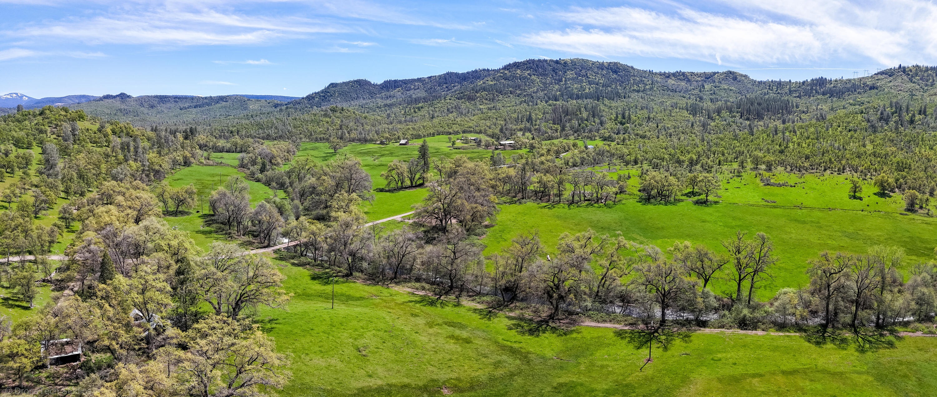 9568 Blue Mountain Ranch Road Whitmore, CA 96096 - Photo 91 of 93 a view of a lush green hillside and houses